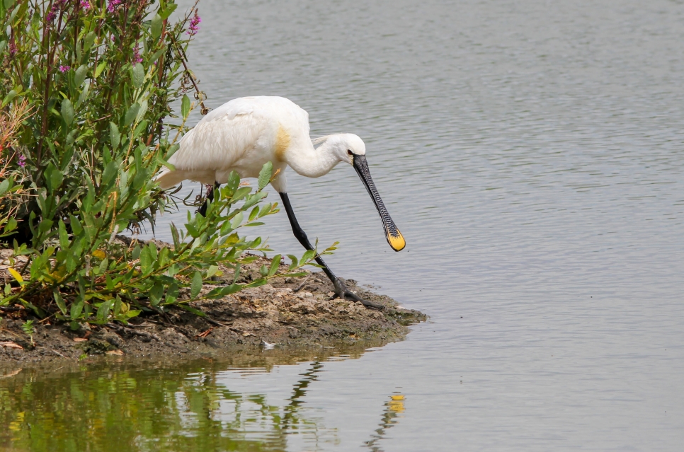 Latest Sightings